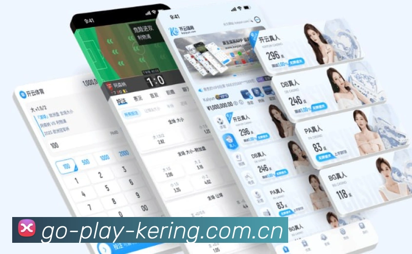 未来规划
